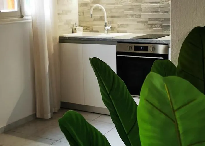 Duchess House Апартаменты *